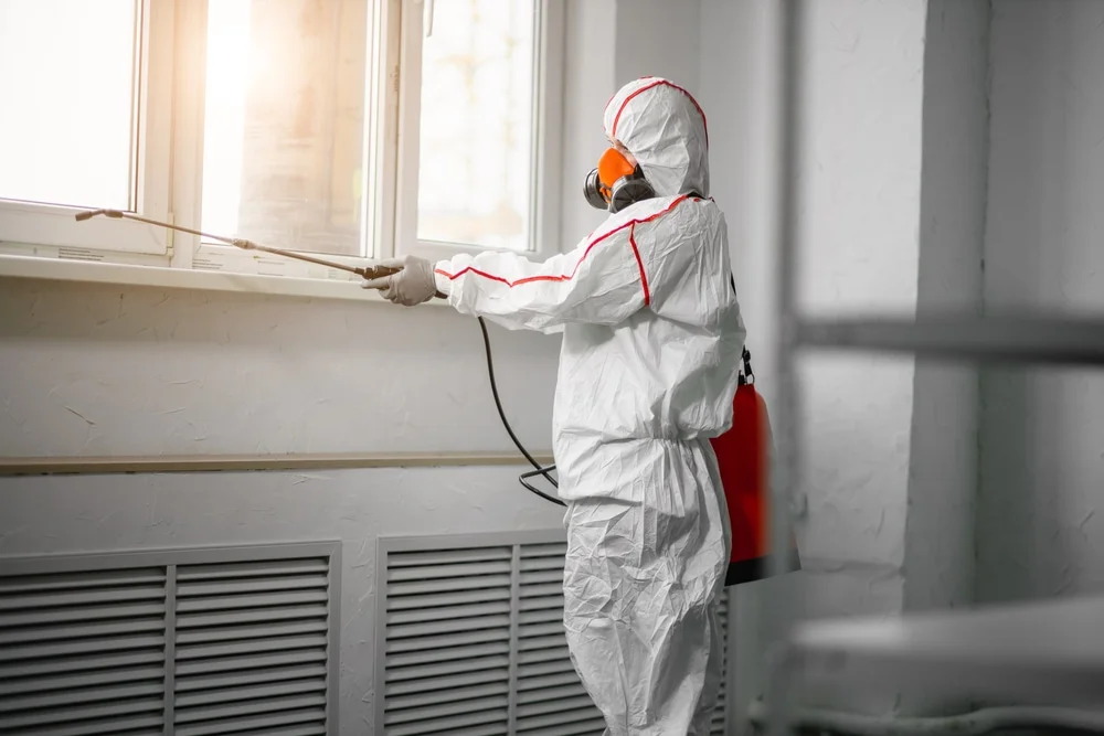 Professional mold remediation services in Alva, FL